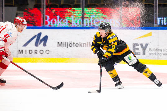 Skellefteås Tim Söderlund