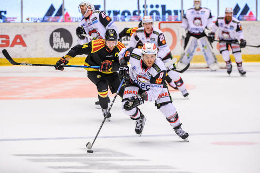 Malmö Redhawks Frederik Storm
