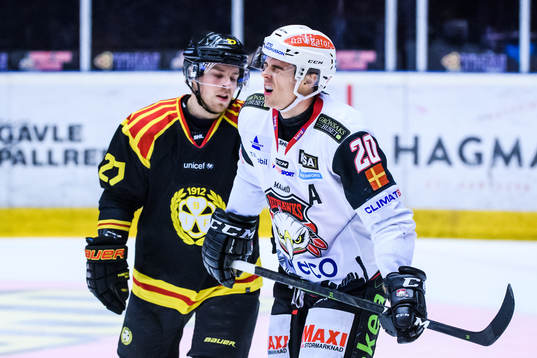 Brynäs Emil Forslund  och Malmö Redhawks Henrik Hetta
