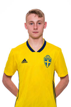 Bläddra bland fler bilder av Fotboll, P16, Sverige, Porträtt