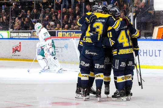 Spelare ur HV71 jublar