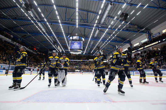 Spelare ur HV71 jublar