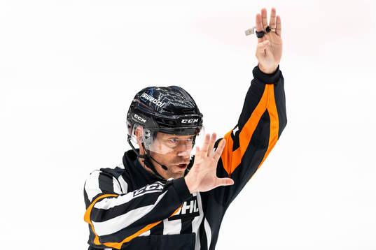 Domare Sören Persson