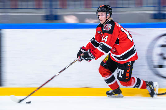 Piteås Ludvig Vännström