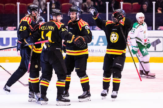 Bläddra bland fler bilder av Ishockey, SHL, Brynäs - Rögle