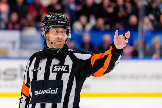 Domare Sören Persson