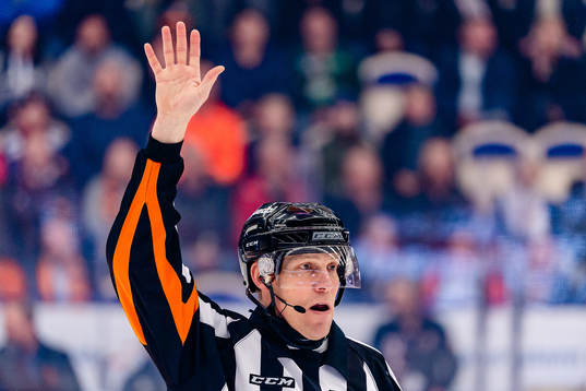 Domare Morgan Johansson