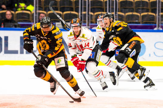 Skellefteås Edwin Hedberg