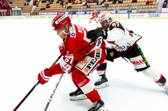 Timrås Anton Wedin och Malmö Redhawks Per Ledin