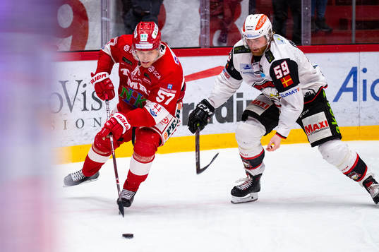 Timrås Anton Wedin och Malmö Redhawks Anton Mylläri