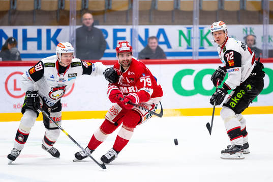 Malmö Redhawks Tobias Ekberg,Lars Bryggman och Timrås