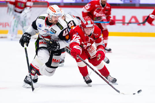 Malmö Redhawks Niklas Arell och Timrås Sebastian Ohlsson