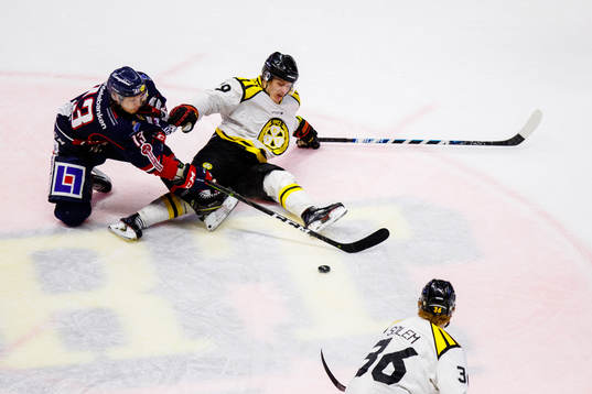 Linköpings Andrew Gordon och Brynäs Daniel Mannberg