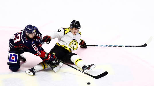 Linköpings Andrew Gordon och Brynäs Daniel Mannberg