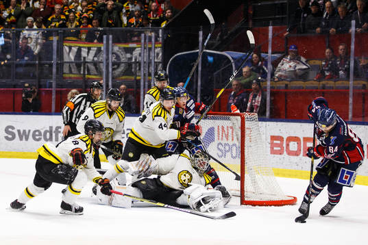 Brynäs målvakt David Rautio