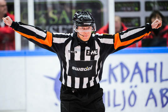 Domare Mikael Holm