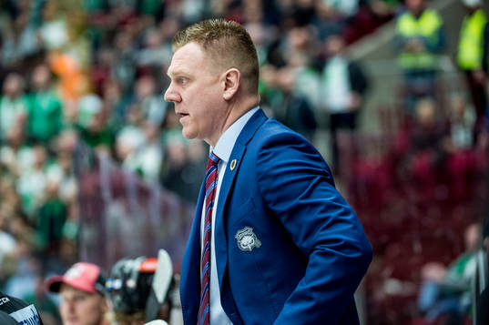 Malmö Redhawks assisterande tränare Jesper Mattsson