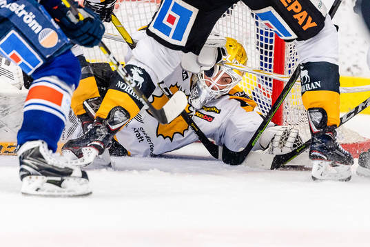 Skellefteås målvakt Mantas Armalis