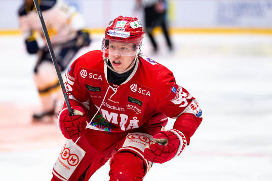 Timrås Vilmos Gallo