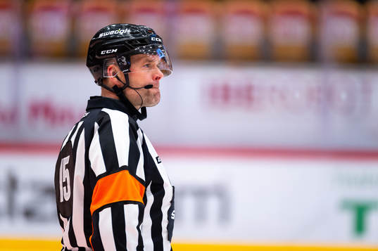 Domare Patrik Sjöberg