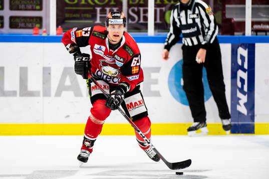 Malmö Redhawks Fredrik Händemark