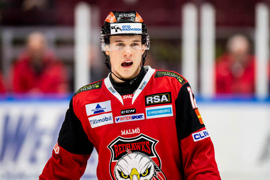 Malmö Redhawks Linus Cronholm