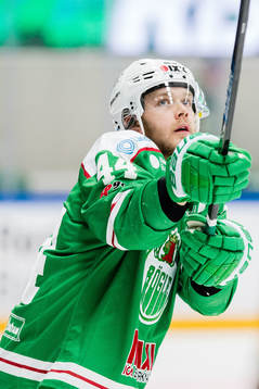 Rögles Olle Liss