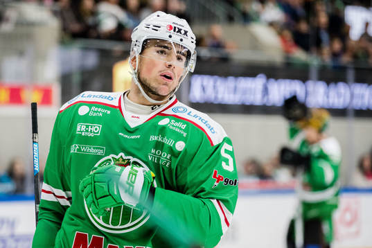 Rögles Alen Bibic