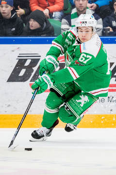Rögles Leon Bristedt