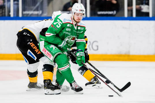 Bläddra bland fler bilder av Ishockey, SHL, Rögle - Skellefteå 