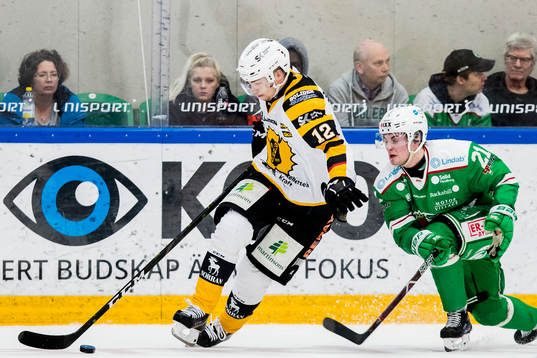 Skellefteås Adam Pettersson och Rögles Nils Höglander