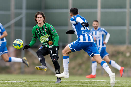 Varbergs Robin Book