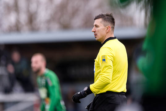 Domare Bojan Pandzic