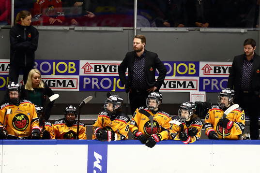 Luleås tränare Fredrik Glader i spelarbåset