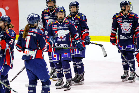 Linköpings spelare deppar