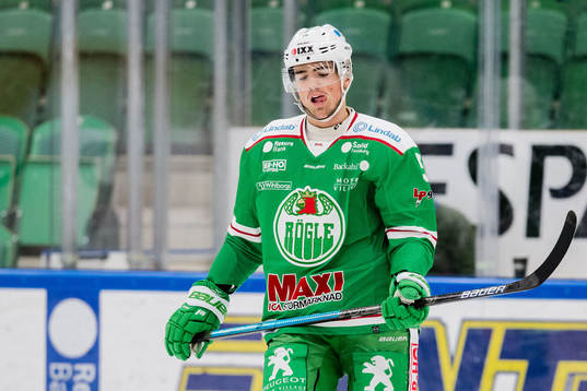 Rögles Alen Bibic