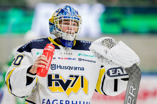 s målvakt Hugo Alnefelt