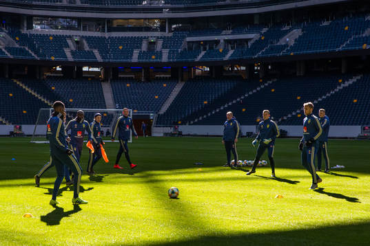 Players of Sweden