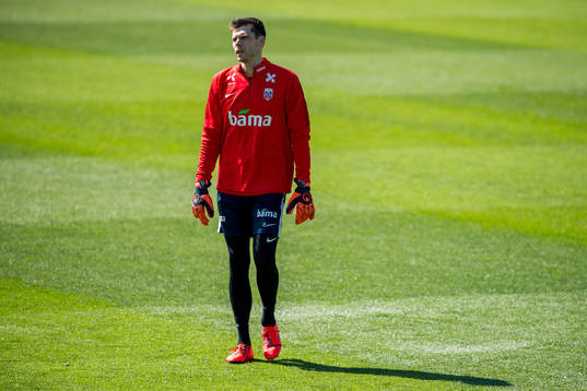Goalkeeper Rune Almenning Jarstein of Norway