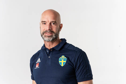 Stefan Johannesson, domare