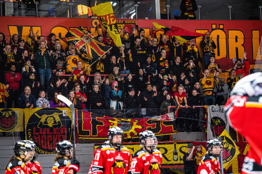 Luleås supportrar
