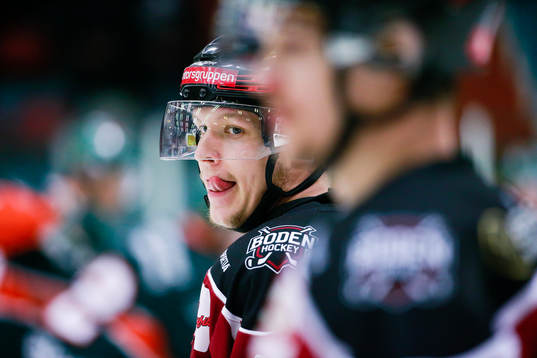 Boden hockeys Anton Barsk