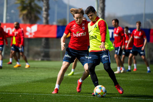 Jonas Svensson and Tarik Elyounoussi of Norway
