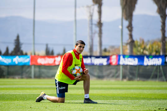 Mohamed Elyounoussi of Norway