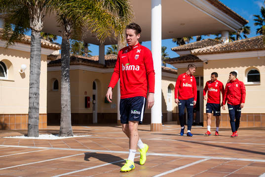 Stefan Johansen of Norway