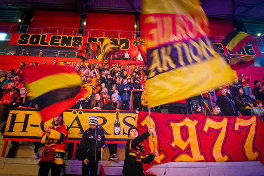 Luleås supportrar