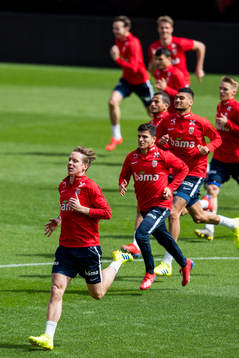 Stefan Johansen of Norway