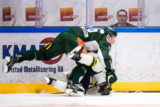 s Mikko Lehtonen