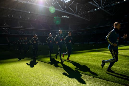 Sweden's national football team players