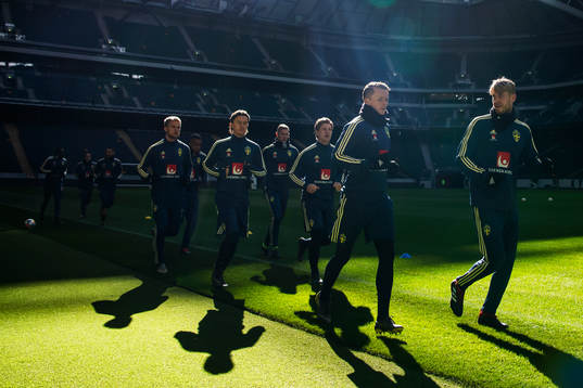 Sweden's national football team players